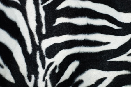 Texture - a fluffy skin of a zebraの写真素材