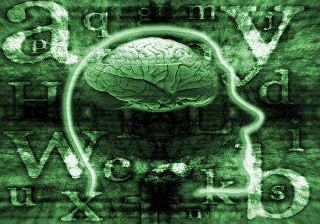 digital brainの写真素材