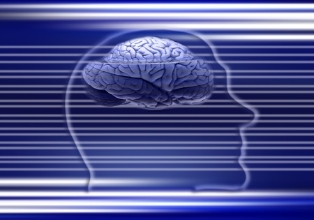digital brain