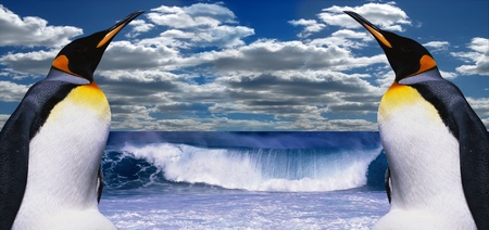 Two Penguins in Antarctica on background clody sky and seaの写真素材