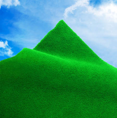 curl green grass with sky の写真素材