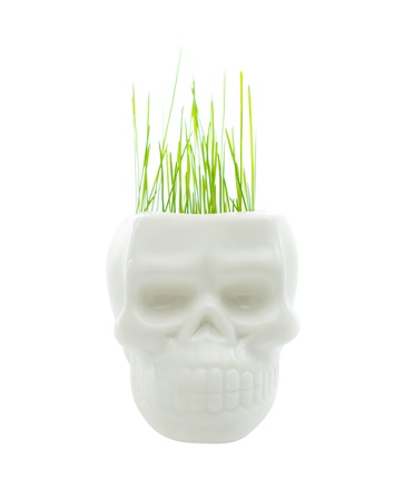 green grass in pot of skull isolated on whiteの写真素材