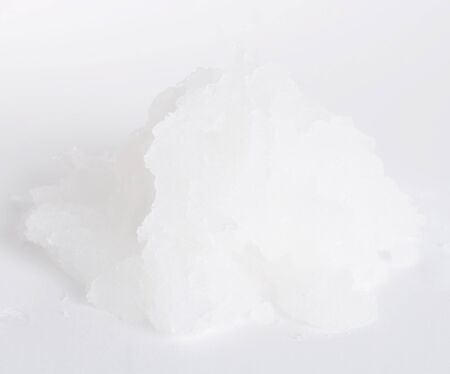small group of snow by a large plan