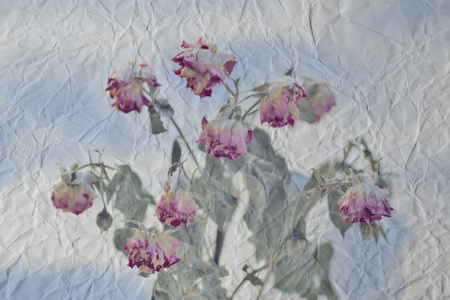vintage crumpled paper with flowers