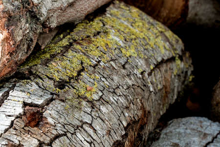 wood detail