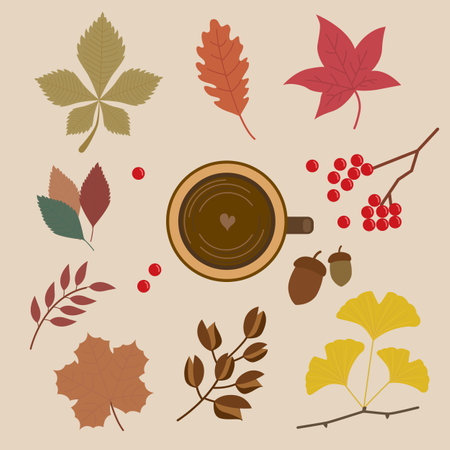 Coffee cup, autumn leaves and berries. Vector illustration.のイラスト素材