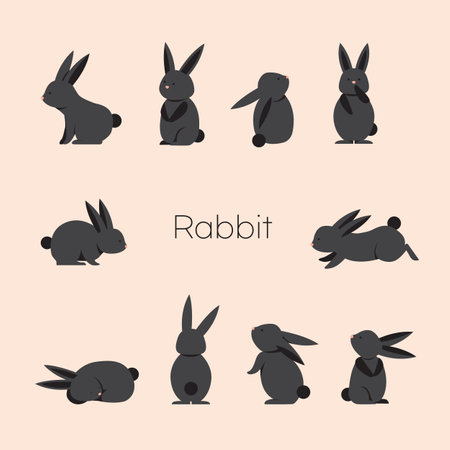 Rabbits set. Cute cartoon animal. Vector illustration.のイラスト素材