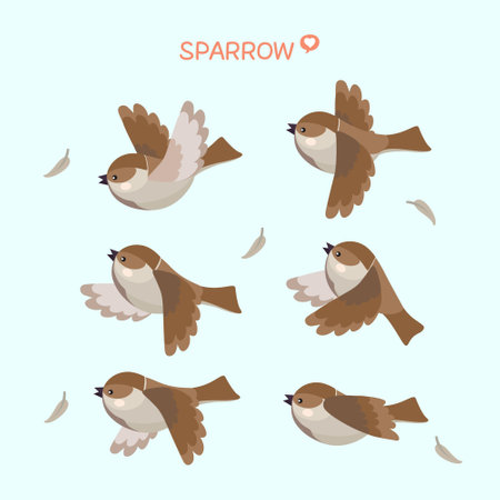 Sparrow vector illustration. Set of cute sparrows.のイラスト素材
