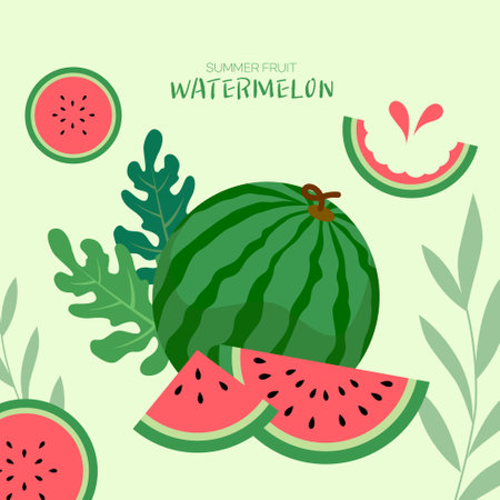 Watermelon vector illustration. Flat design style. Watermelon background.のイラスト素材