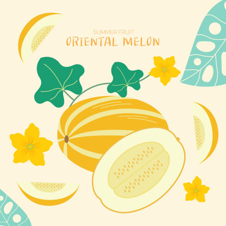 Melon design over beige background, vector illustration eps10のイラスト素材