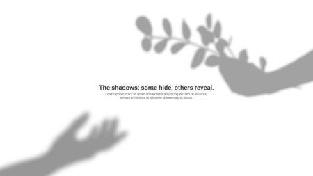 Shadow overlay visual element. Transparent soft light and shadow scenes hand with taking leaves. Design for mockup, ad, related for visual graphic.のイラスト素材