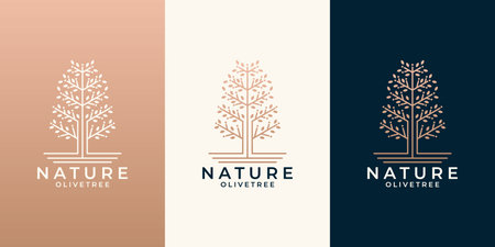 beauty nature olive tree logo design set for your business saloon, cosmetic, spa, healthのイラスト素材