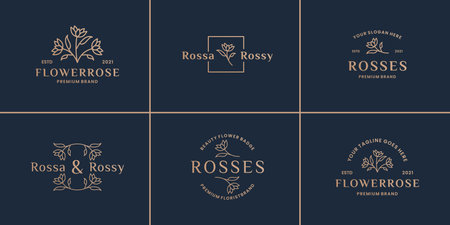 set of hand drawn foliage rose flower, letter, floral, frame logo designのイラスト素材