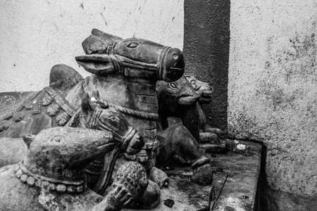 This image represent temple security guard in indiaの写真素材