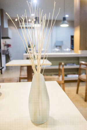 A vest of dead branches, home decorating stuff.の写真素材