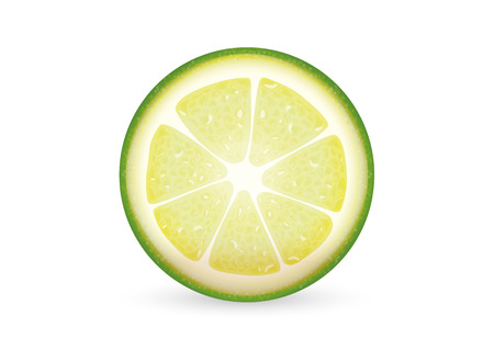 A piece of sliced lime, great ascent and taste very sour のイラスト素材
