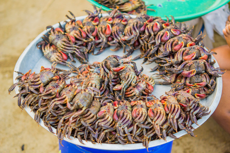 Salted crabs shop in Thai urban village market on March 6, 2014 in Nakornsrithammarat, Thailand.のeditorial素材