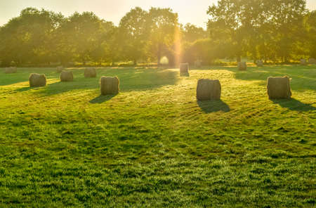Farmland meadow with straw bale at sunset. Brittany, Franceの写真素材