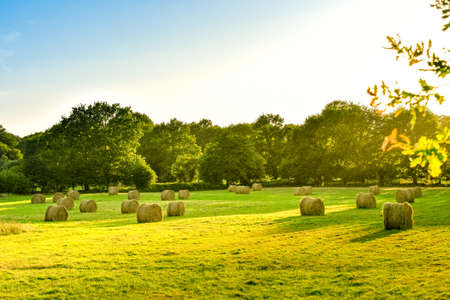 Farmland meadow with straw bale at sunset. Brittany, Franceの写真素材