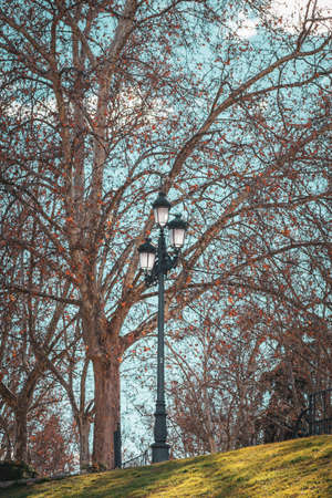 Autumn sunny day in the park. Blue sky, street light in the center, surrounded by trees and grass in a beautiful light. Madrid, Spain.の写真素材