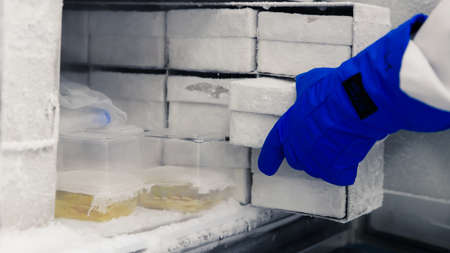 Scientific manipulating tests in bioscience laboratory freezer. Concept of science, laboratory and study of diseases.の写真素材