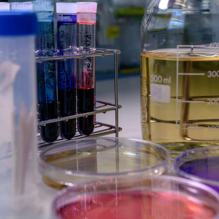 Petri dishes, test tubes and laboratory equipment, with coloring liquids. Concept of science,...