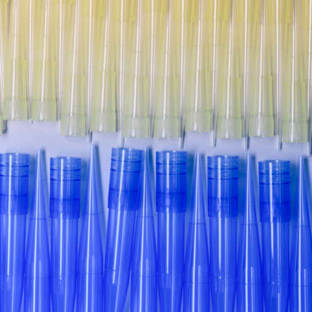 Blue and yellow universal laboratory pipet tips. Laboratory and science material concept.の写真素材