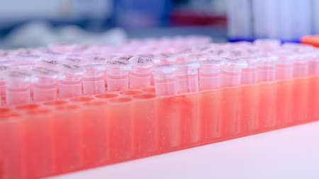 Laboratory rack with plastic tubes for DNA study. DNA gel-loading. Concept of science, laboratory...