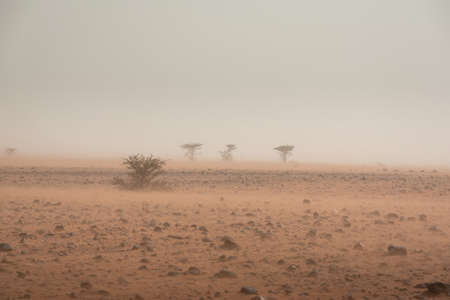 Sandstorm in rocky desert terrain. Erg Chigaga ØŒ Morocco