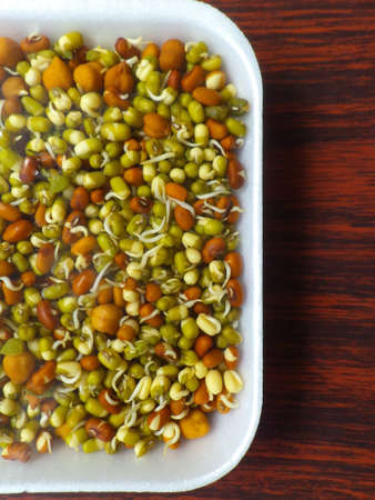 Sprouted Lentilsの写真素材