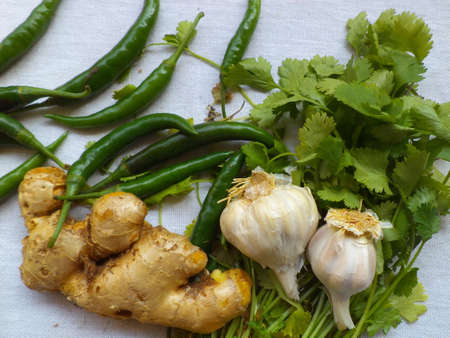 Green chillies, ginger, garlic and coriander leavesの写真素材