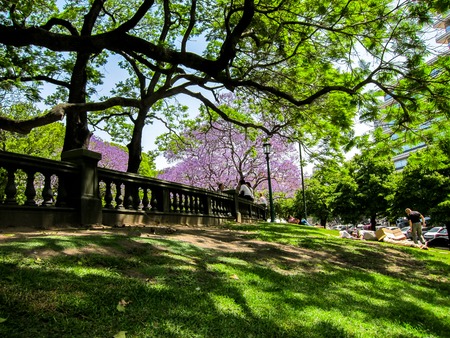 Street scene in Buenos Aires in a park next to the train stationの写真素材