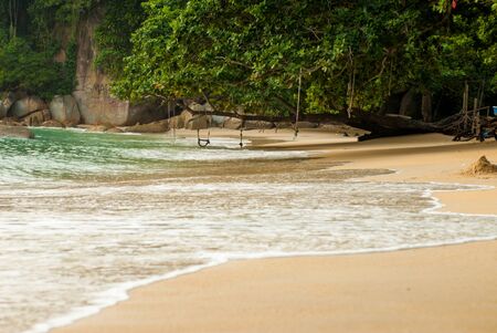 Tranquil tropical beach with jungle and wavesの写真素材