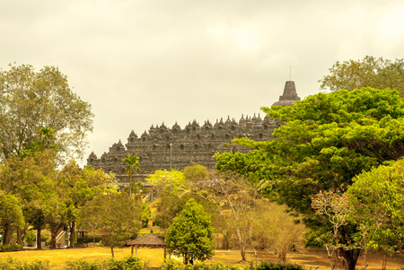 Borobudur from a distance framed by treesの写真素材