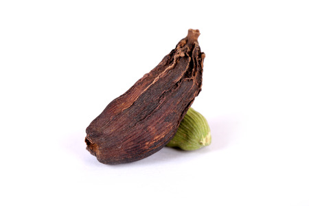 Spicy cardamom seeds close-up. Macro.の写真素材