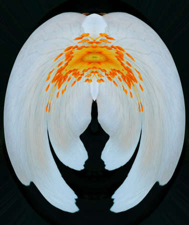 Abstract picture of a flower