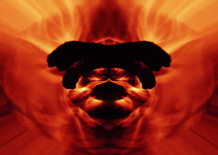 Fire creature lives in flames and eats everything what burn