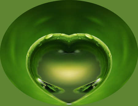 Waterdrop is falling down through the rain forrestの写真素材