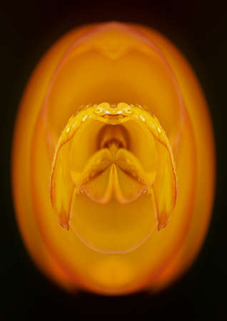 We still have not explored deep sea and animals, whose live thereの写真素材