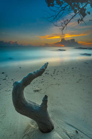 beautiful of nature sunset and sunrise landscapeの写真素材