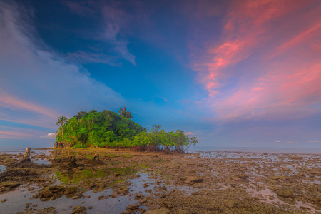 A very beautiful mangrove tree with a stunning view of the color of the sky at sunset and sunrise along the coast of the Mentawai Islands, West Sumatra, Indonesia. long exposure or slow-speed photo, thick colored clouds, and overcastの写真素材