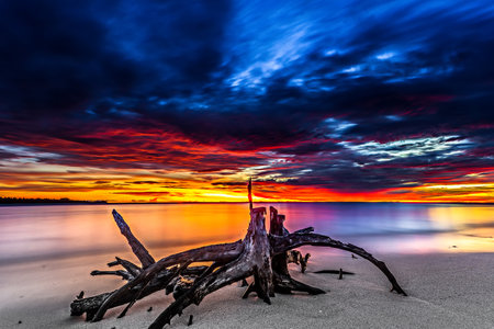 Beautiful sunset views all over the coast of the Mentawai Islands, West Sumatra, Indonesia. The waves are big for world-class surfers. White sandy beaches, boulders, and large cliffs, decorated with charming coconut trees, mangroves, and weathered tree trunks. Long exposure photoの写真素材