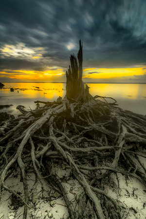 Beautiful sunset views all over the coast of the Mentawai Islands, West Sumatra, Indonesia. The waves are big for world-class surfers. White sandy beaches, boulders, and large cliffs, decorated with charming coconut trees, mangroves, and weathered tree trunks. Long exposure photoの写真素材