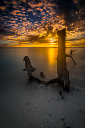 Beautiful sunset views all over the coast of the Mentawai Islands, West Sumatra, Indonesia. The waves are big for world-class surfers. White sandy beaches, boulders, and large cliffs, decorated with charming coconut trees, mangroves, and weathered tree trunks. Long exposure photoの写真素材
