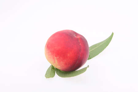 Fresh peaches in a white backgroundの写真素材