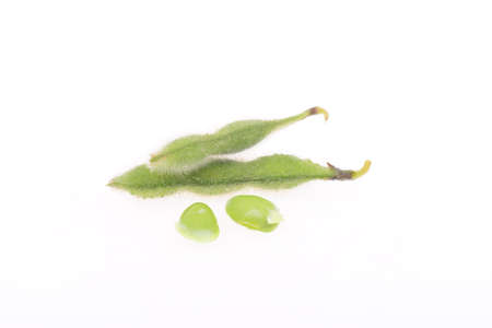 Fresh peas isolated on a white backgroundの写真素材