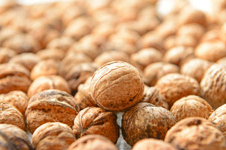 Close up of fresh walnutsのeditorial素材