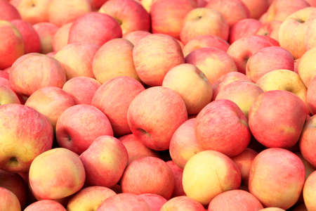 Many fresh apple stacked togetherの写真素材