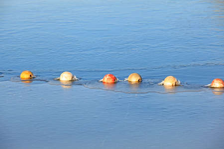buoys and net floating on the waterの写真素材