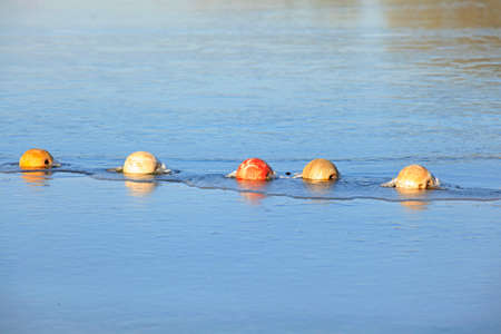 Nets on the float in the water